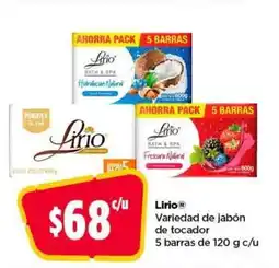 Bodega Aurrerá Lirio oferta
