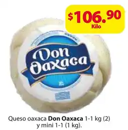 Zorro Queso oaxaca Don Oaxaca oferta