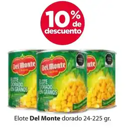 Zorro Elote Del Monte dorado oferta