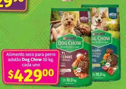 Soriana Híper Dog Chow 10 kg oferta