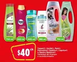 Variedad de shampo o acondicionador