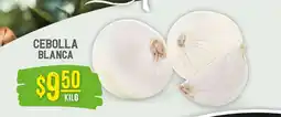 Soriana Súper Cebolla Blanca oferta