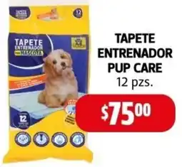 Farmacias Guadalajara Tapete entrenador pup care oferta
