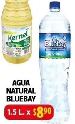 Farmacias Guadalajara Bluebay agua natural oferta