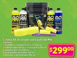 Soriana Híper Go Pro Cubeta kit de lavado para auto oferta