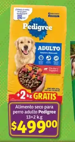 Soriana Mercado Pedigree alimento seco para perro adulto oferta