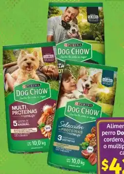 Soriana Mercado Purina dog chow alimento seco para perro adulto cordero, alta proteina o multiproteina oferta