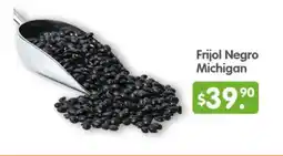 Arteli Frijol negro michigan oferta