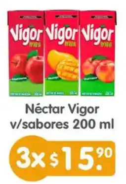 Arteli Vigor néctar v/sabores oferta