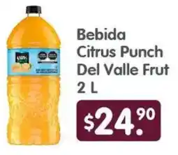 Arteli Citrus punch bebida del valle frut oferta