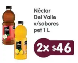 Arteli Del valle néctar v/sabores pet oferta