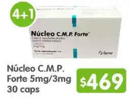 Arteli Núcleo c.m.p. forte oferta