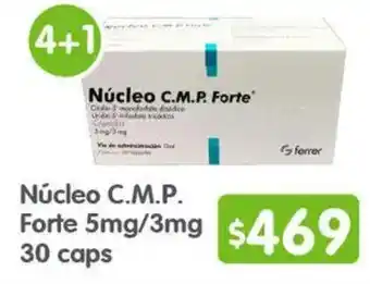 Arteli Núcleo c.m.p. forte oferta