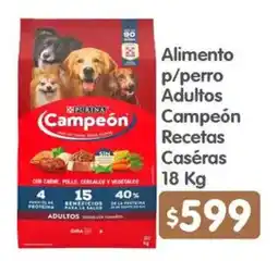 Arteli Campeón Recetas Caseras oferta