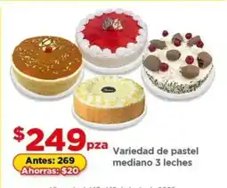 Variedad de pastel mediano 3 leches