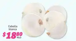 Soriana Súper Cebolla Blanca oferta