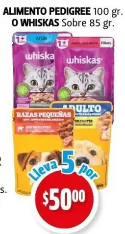 Farmacias Guadalajara Pedigree alimento oferta
