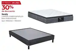 Costco Sealy colchón matrimonial y/o box matrimonial oferta