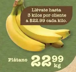 Plátano