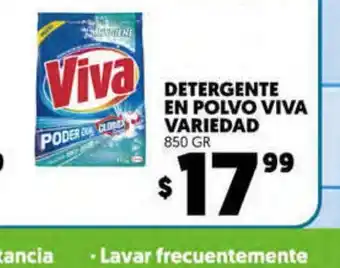 Detergente en Polvo Viva Variedad 850 Gr
