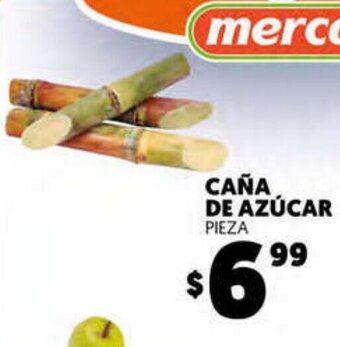 Caña de Azucar Pieza