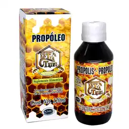 Farmacias Bazar PROPOLEO CON MIEL JARABE 120ML LA TIA TRINI oferta