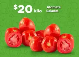 Jitomate Saladet