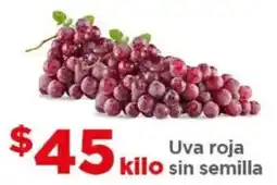 Bodega Aurrerá Uva roja sin Semilla oferta