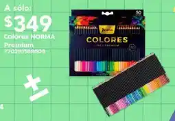 City Club Norma colores premium oferta