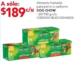 City Club Purina dog chow alimento húmedo para perro o cachorro oferta