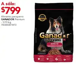 City Club Ganador alimento para perro premium oferta