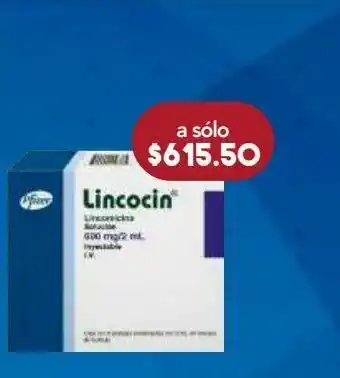 Farmacia San Pablo Lincocin adulto iny 600mg jer c/6 oferta