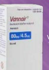Farmacia San Pablo Vannair aer 80/4.5 mcg caj c/120d oferta