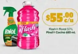 Farmacias Guadalajara Pinol/flash floral oferta
