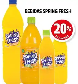 Farmacias Guadalajara Spring fresh bebidas oferta