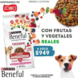 Zorro Purina Beneful original oferta