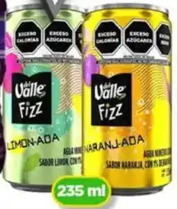 Bodega Aurrerá Valle Fizz oferta