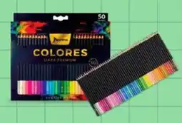 City Club Norma colores premium oferta