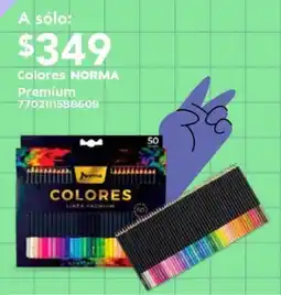 City Club Norma colores oferta