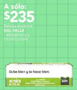 City Club Del valle bebida minibrick oferta