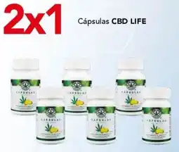 City Club Cbd life cápsulas oferta