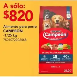 City Club Campeón alimento para perro oferta