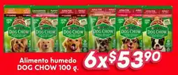 Soriana Híper Dog chow alimento humedo oferta