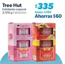 Sam's Club Tree Hut exfoliante corporal oferta