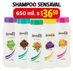 Farmacias Guadalajara Sensaval shampoo oferta