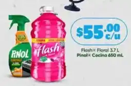 Farmacias Guadalajara Flash Floral + Pinol Cocina oferta