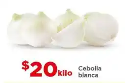 Bodega Aurrerá Cebolla blanca oferta