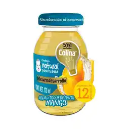 Farmacias Benavides Plus Neurodesarrollo Agua + Toque de fruta Etapa 4 oferta