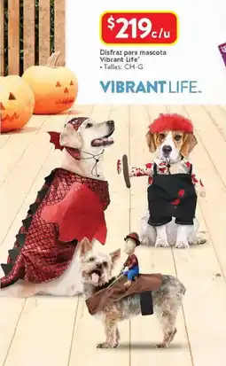 Walmart Vibrant life disfraz para mascota oferta