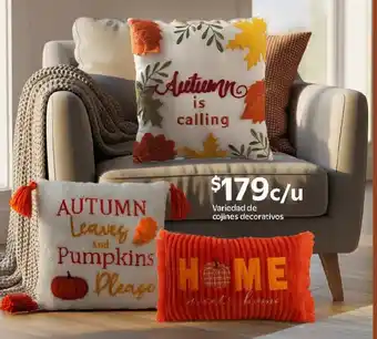 Variedad de cojines decorativos
